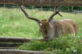 Picture 008.jpg